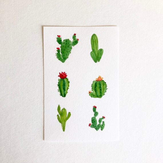 Cactus Species Chart