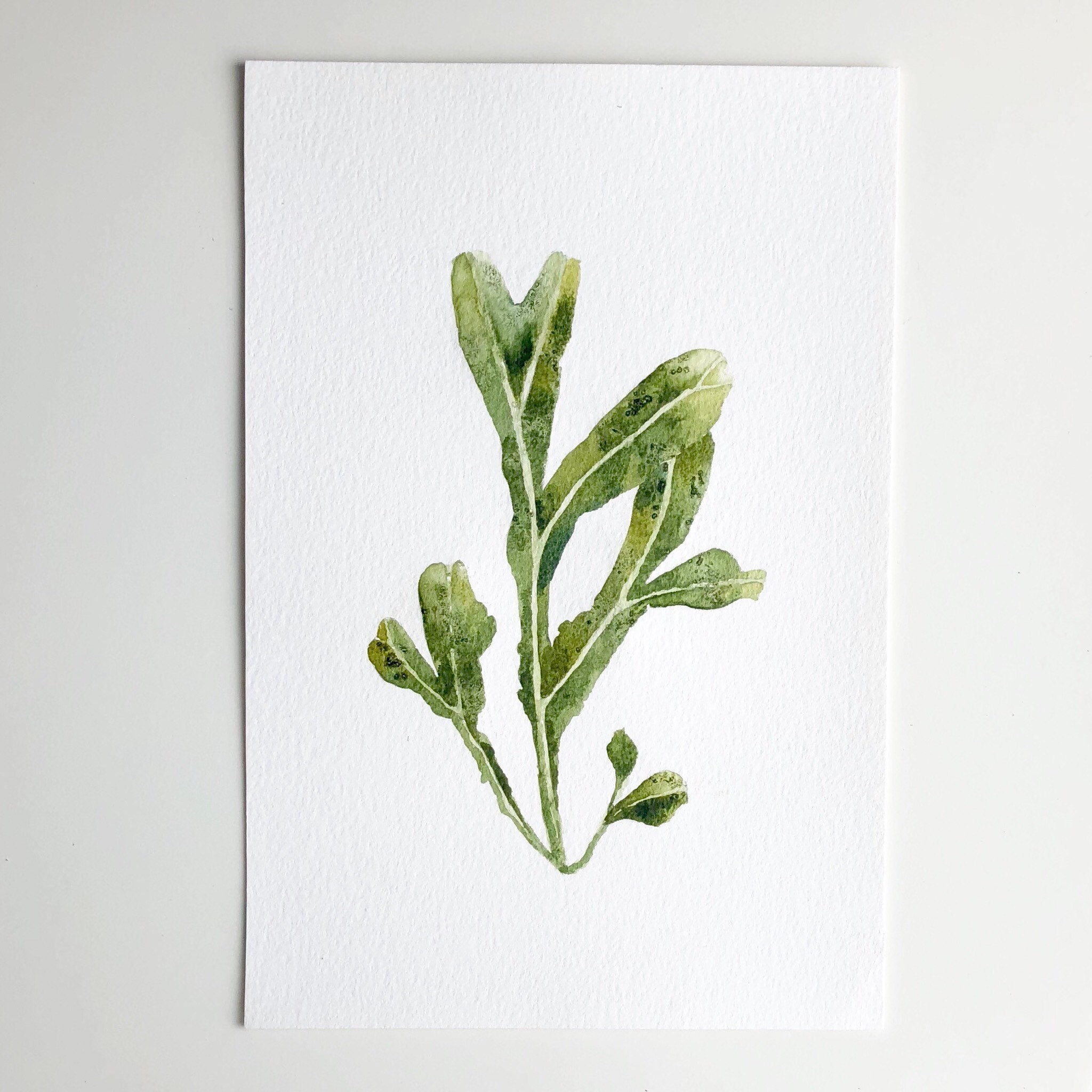 Ocean Green Seaweed Original Watercolor Painting [6 x 9]
