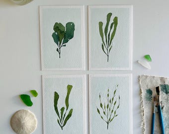 Original Painting Seaweed Series 4x6 | Abstract Minimalist Seaweed Watercolor | Nursery Art | Ocean Theme Art | Seaweed Painting