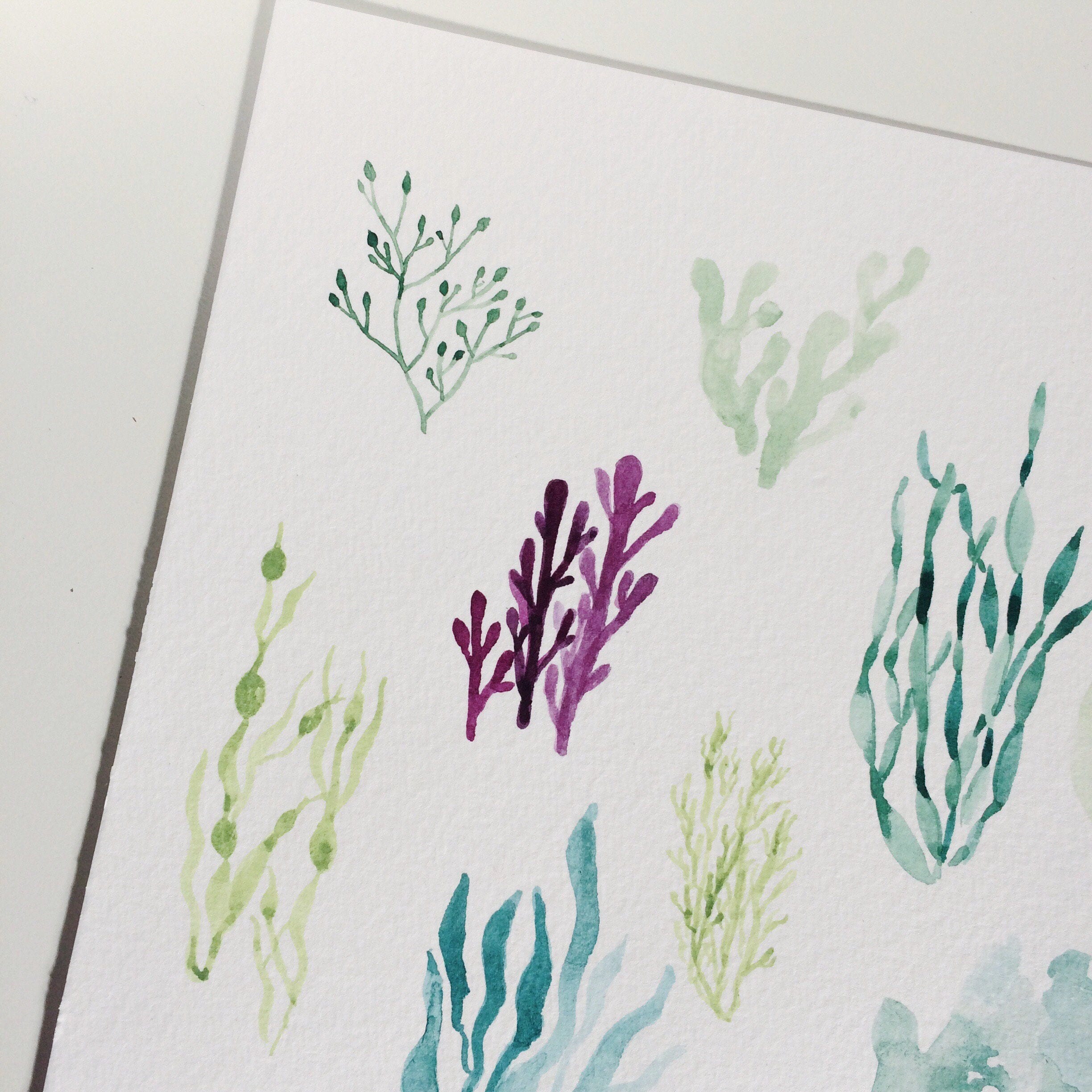Colorful Ocean Seaweed Original Watercolor Painting [6 x 8]