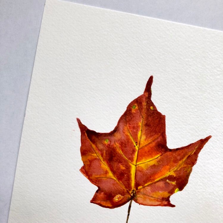 Warm Colors of Fall Maple Leaf Original Watercolor Painting [6 x 8]