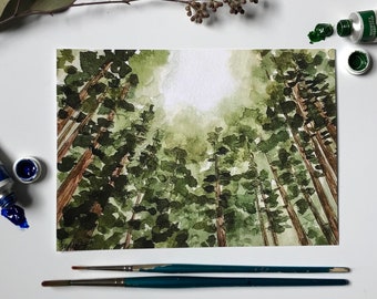 Giclée Print of Muir Woods Watercolor | Print From Original Watercolor Artwork | Muir Woods Park, California [5x7” PRINT]