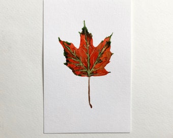 Red and Green Autumn Maple Leaf Original Watercolor Painting | Fall Watercolor Painting | Leaf Art [4" x 6"]