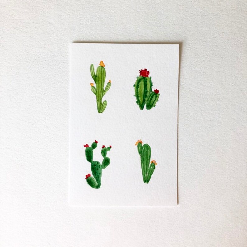 Cactus Species Chart