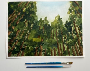 Original Watercolor Landscape ‘Looking Up’ | Bright Abstract Redwood Forest Painting | Muir Woods Painting [9x12"]