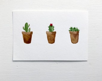 Tiny Succulent + Cactus Plant Trio Original Watercolor Painting [4" x 6"]