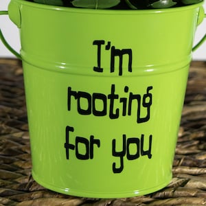 Może przedstawiać: Zielony metalowy kubełek z czarnym napisem "Trzymam kciuki za ciebie". Kubełek jest wypełniony zieloną, liściastą rośliną.