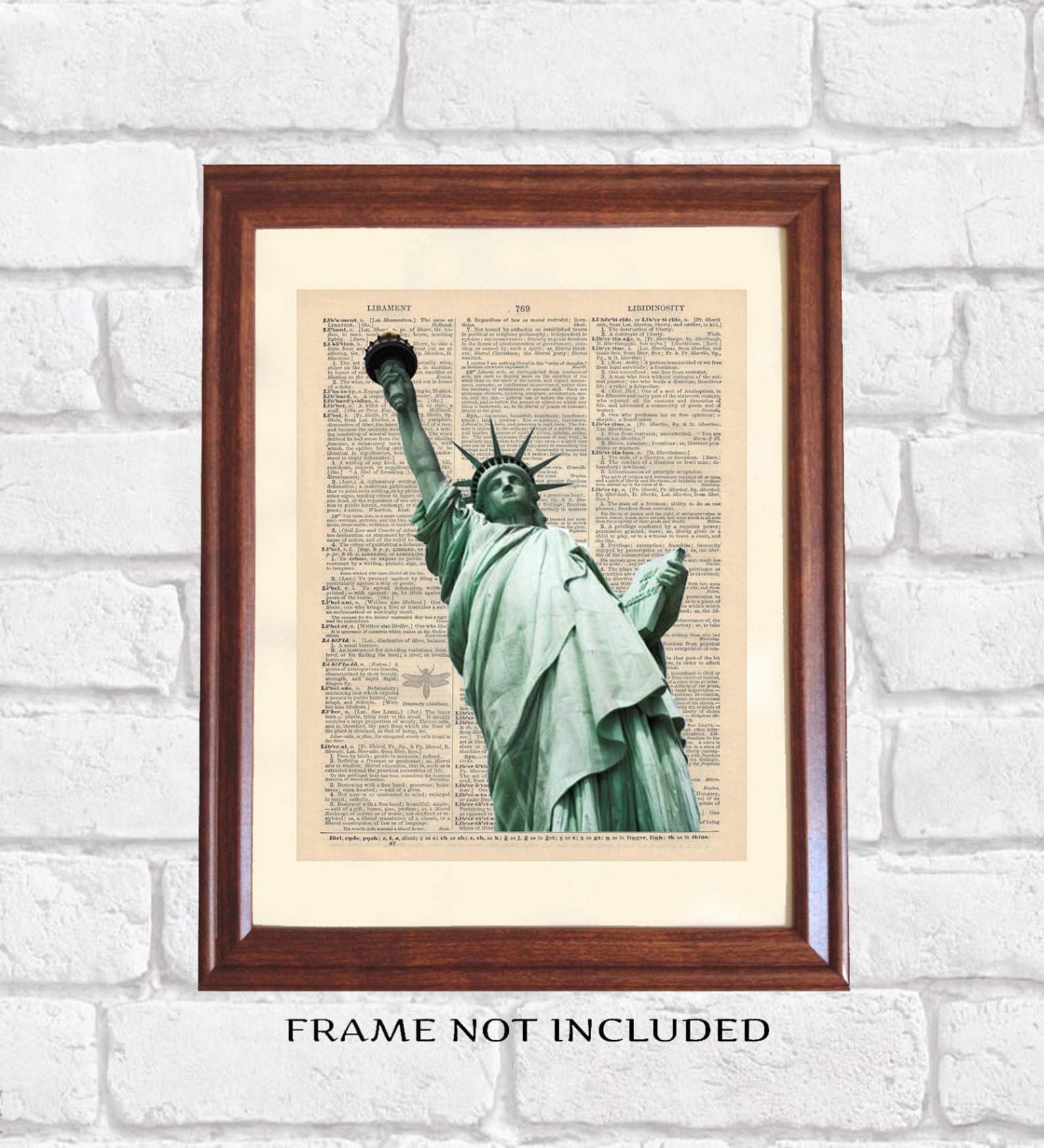 Statue of Liberty Dictionary Print New American Citizen Gift Etsy