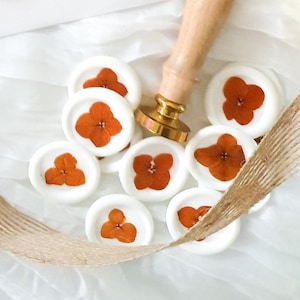 Adesivi con sigillo in ceralacca personalizzati con ortensia in arancione bruciato per matrimonio, fidanzamento, anniversario, baby shower, lettere, regali, cancelleria