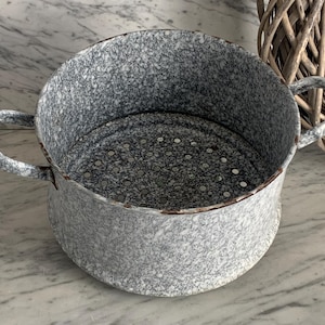 Antica vaporiera smaltata/vaporiera/colino/setaccio/colino/vaso smaltato grigio/fioriera/piante in un giardino d'epoca