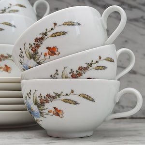6 coffee cups + saucer / Colditz - Porcelain / Vintage tableware / 6 people / Made in GDR