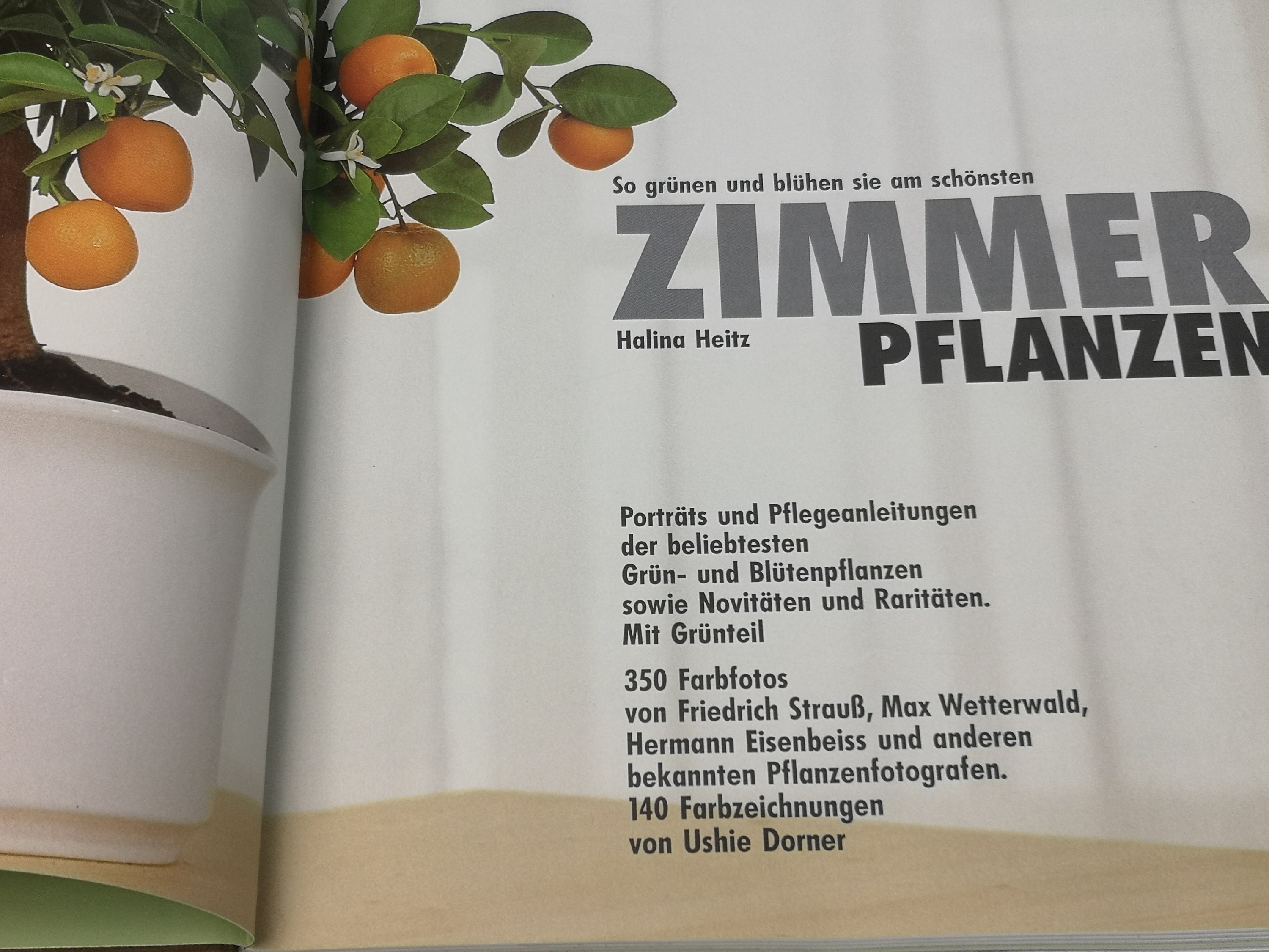 Vintage Book "houseplants" Plant Guide by Halina Heitz - Etsy