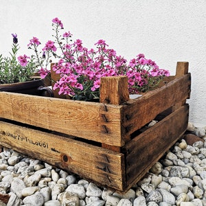 rustic old wooden box / old fruit box / fruit ladder / wooden ladder / rental packaging OGS / DDR