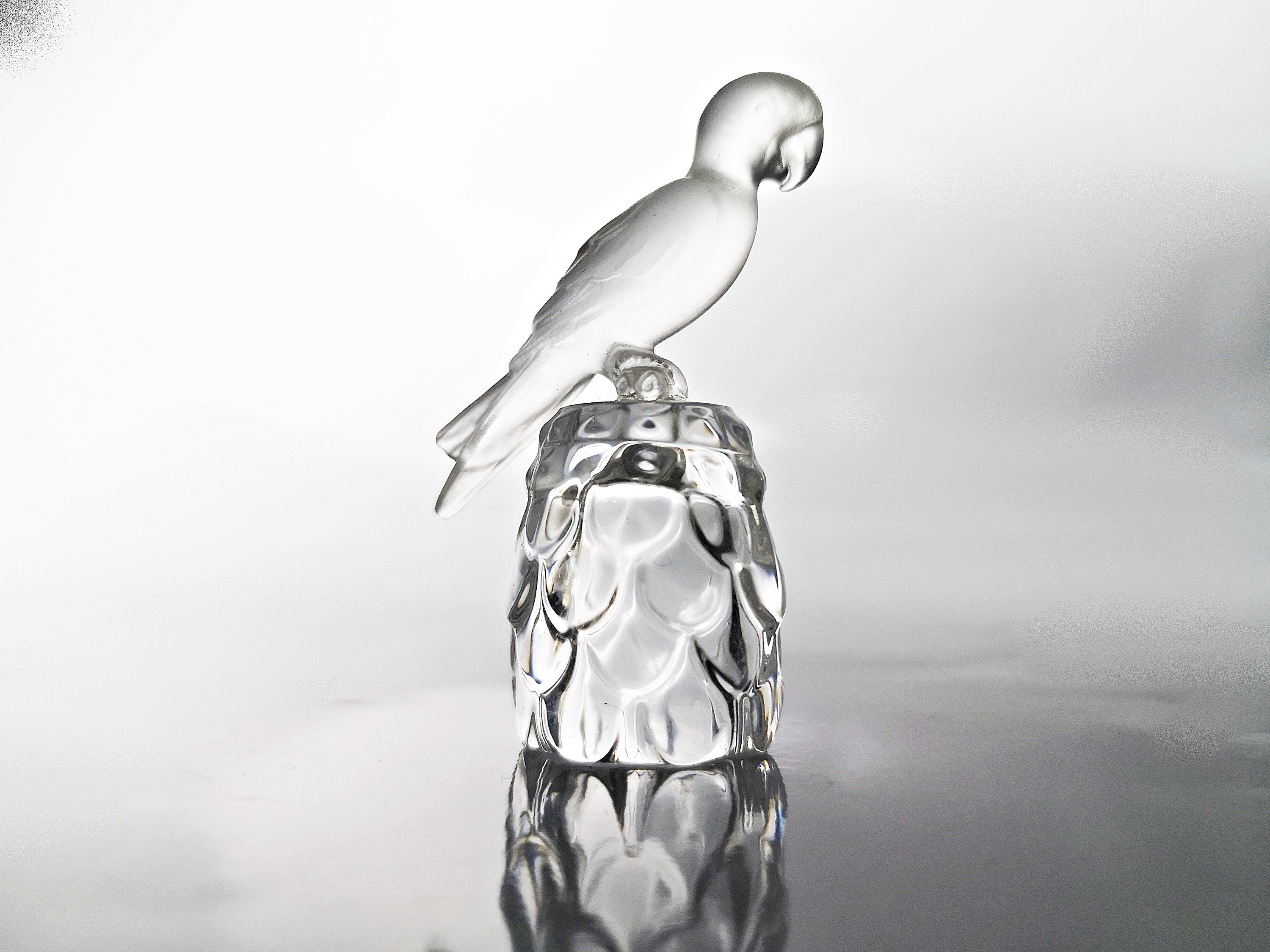 Swarovski display case - Etsy 日本
