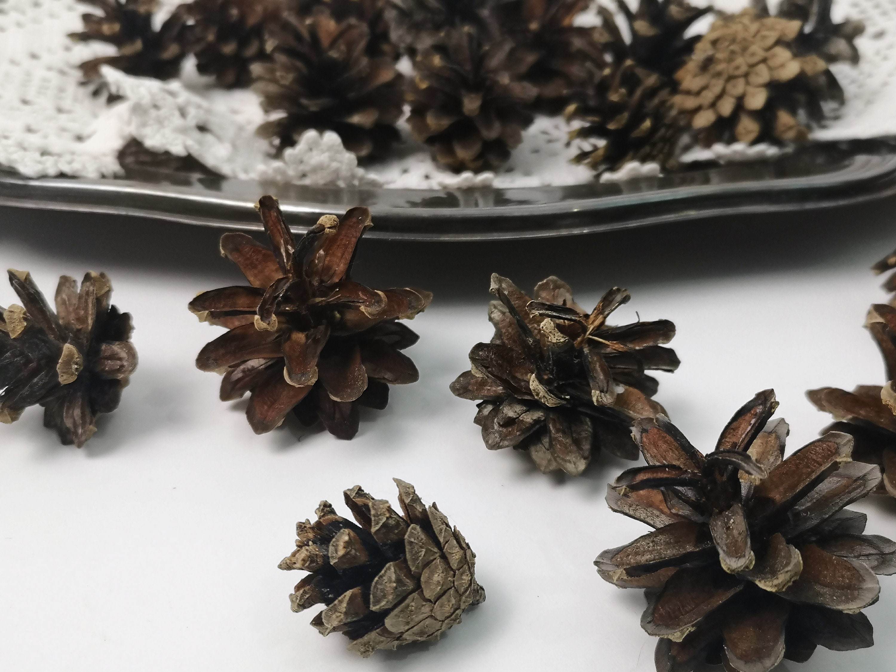 30pcs Small Pine Cones, Wreath Wooden Supplies, Floristic Materials for  Fall Weddings, Woodland Project Kit, Christmas Decoration Materials 