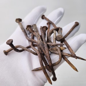 May include: A collection of antique, rusty nails with rounded heads and pointed ends. The nails are various sizes and shapes, with a weathered, aged appearance. They are held in a white gloved hand.