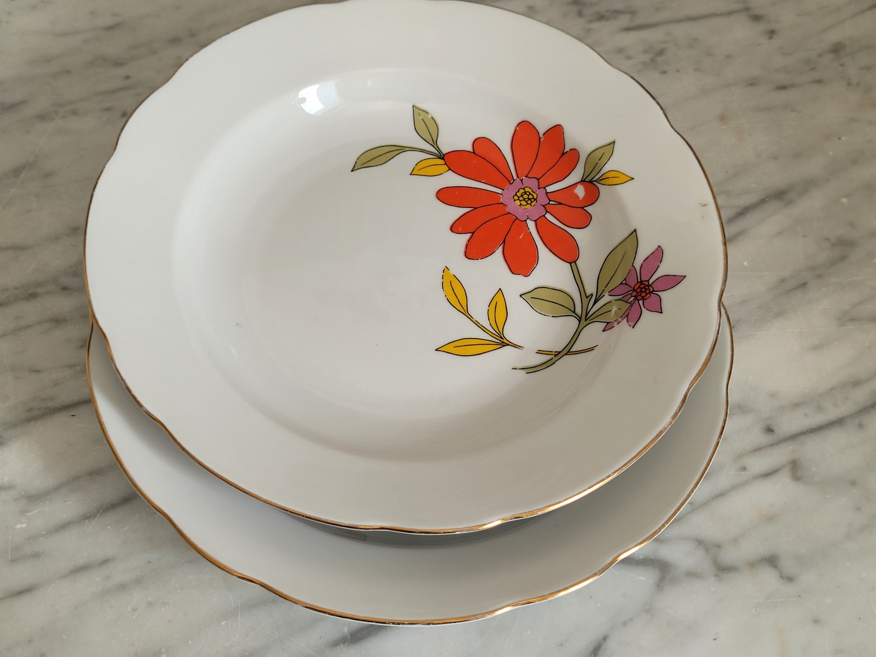 ヴィンテージパスタプレート2枚/ディナープレート/ディーププレート