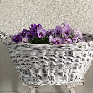 Könnte beinhalten: Ein weißer Weidenkorb gefüllt mit violetten und lavendelfarbenen Stiefmütterchen. Der Korb hat zwei Griffe und steht auf einem kleinen, weißen, antiken Holzständer. Die Blumen blühen in voller Pracht und bilden eine farbenfrohe Darstellung.