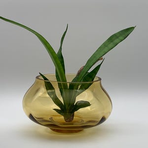 Vintage glass bowl / flower bowl / vintage plant bowl / bonsai bowl / planter made of amber glass