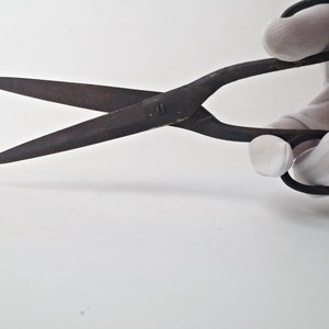 large rusty scissors / hatter / tailor's scissors / BROCANTE / around 1940 / vintage image 9