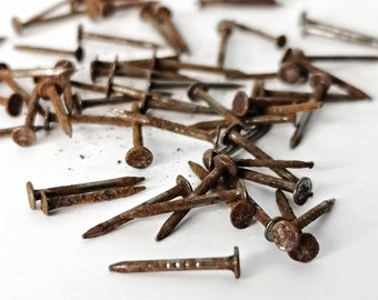 A über 150  winzige rostige Nägel/  alte  Rundkopfnägel / mini ca. 12mm / 0.42"  Eisen / Stahl / deutsches Handwerk / Sattler /Polsterer