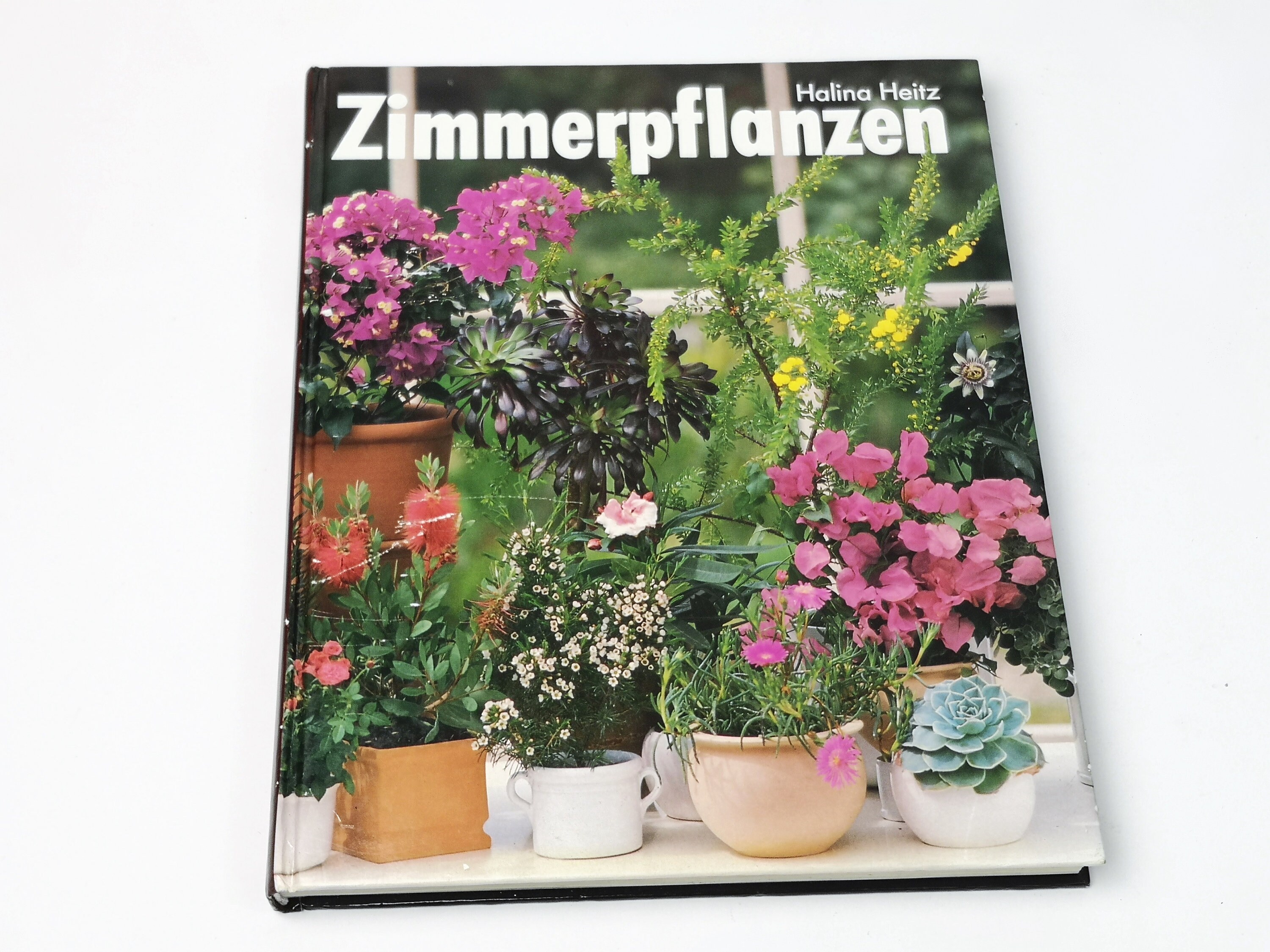 ungiftige zimmerpflanzen kinder Mix & Match 6er Box Ungiftige Pflanzen – Green Me Up main image 1