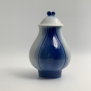 May include: A blue and white ceramic jar with a lid. The jar has a rounded body and a flared top. The lid has a small knob on top.