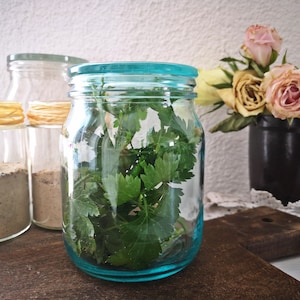 May include: A glass jar with a teal blue lid filled with fresh green herbs. The jar is sitting on a wooden surface with two other glass jars in the background.