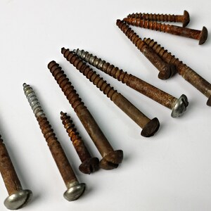 10 stuks roestige schroeven / oude schroeven / ijzer, staal, metalen steampunk, restauratie, ter restauratie, 2,5 cm - 5,5 cm (set B)