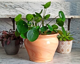 Großer terracotta topf - Die ausgezeichnetesten Großer terracotta topf verglichen!