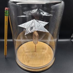 May include: A clear glass cloche with a wooden base houses a crystal suspended by copper wire. A small, silver foil structure sits above the crystal. A yellow pencil with black text is next to the cloche. The cloche is on a dark surface.