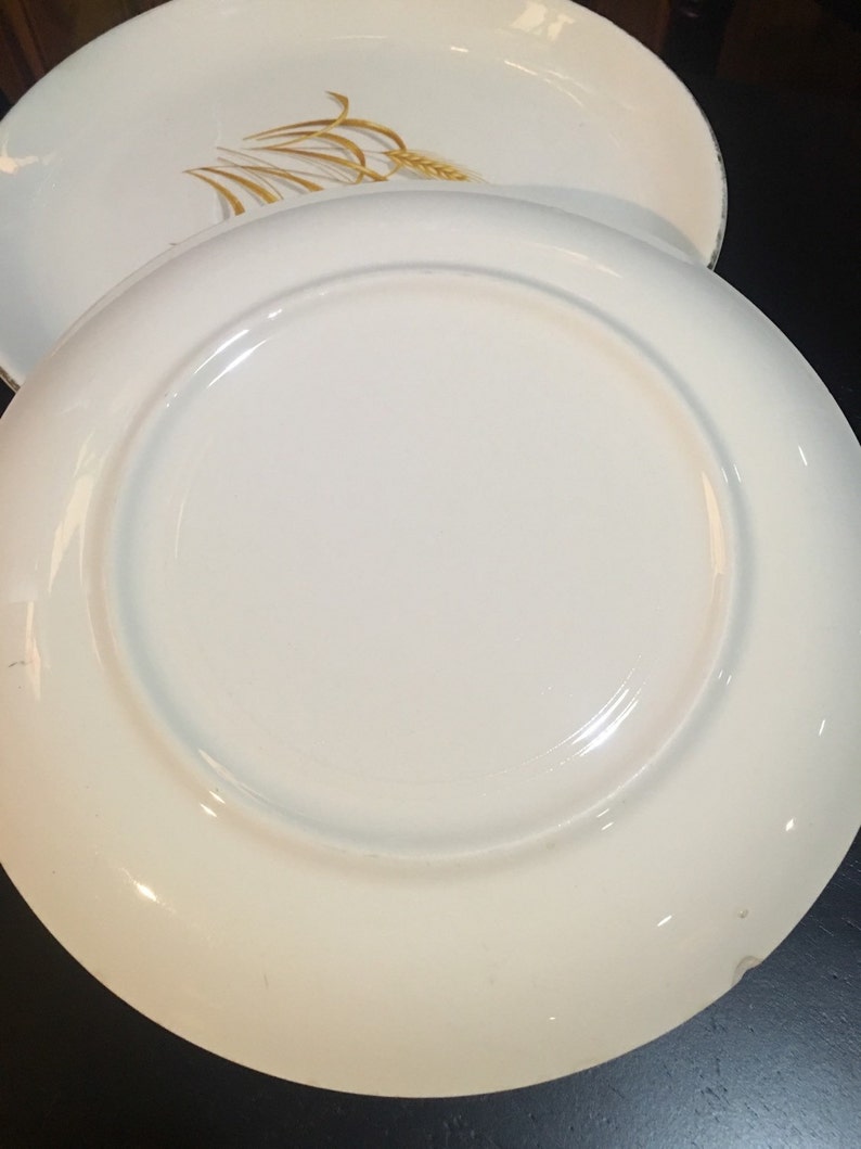 Homerlaughlin Company Dinner Plate 1950 Golden Wheat Motif Etsy
