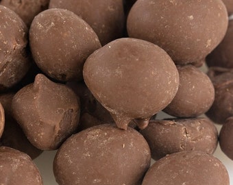 Double Dipped Chocolate Covered Peanuts