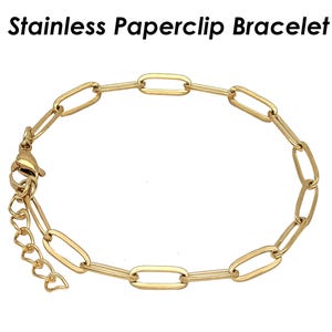 May include: A gold-toned stainless steel paperclip bracelet with a lobster clasp closure.