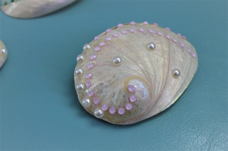 10-100pc. Abalone Seashells Shell Crafts Coastal Beach D&eacute;cor 1-2