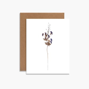 May include: A sympathy card with a pressed flower design. The card is white with a brown envelope. The flower is a dried blue flower with brown stems and leaves. The text "Deepest Sympathy" is printed on the card.