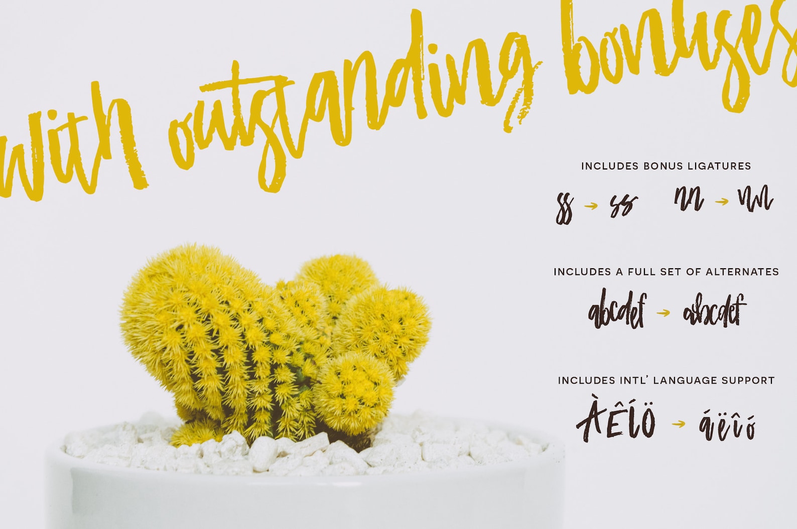 Academy House Font Branding Font Cricut Font Canva Font Etsy