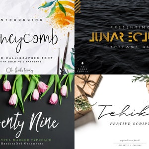 Premium Font Bundle + 500 Graphics | Branding Fonts - Cricut Fonts ...