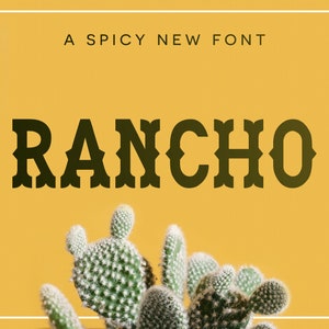 Rancho lettertype - branding lettertype - Cricut lettertype - Canva lettertype - lettertype voortplanten | Direct digitaal downloaden