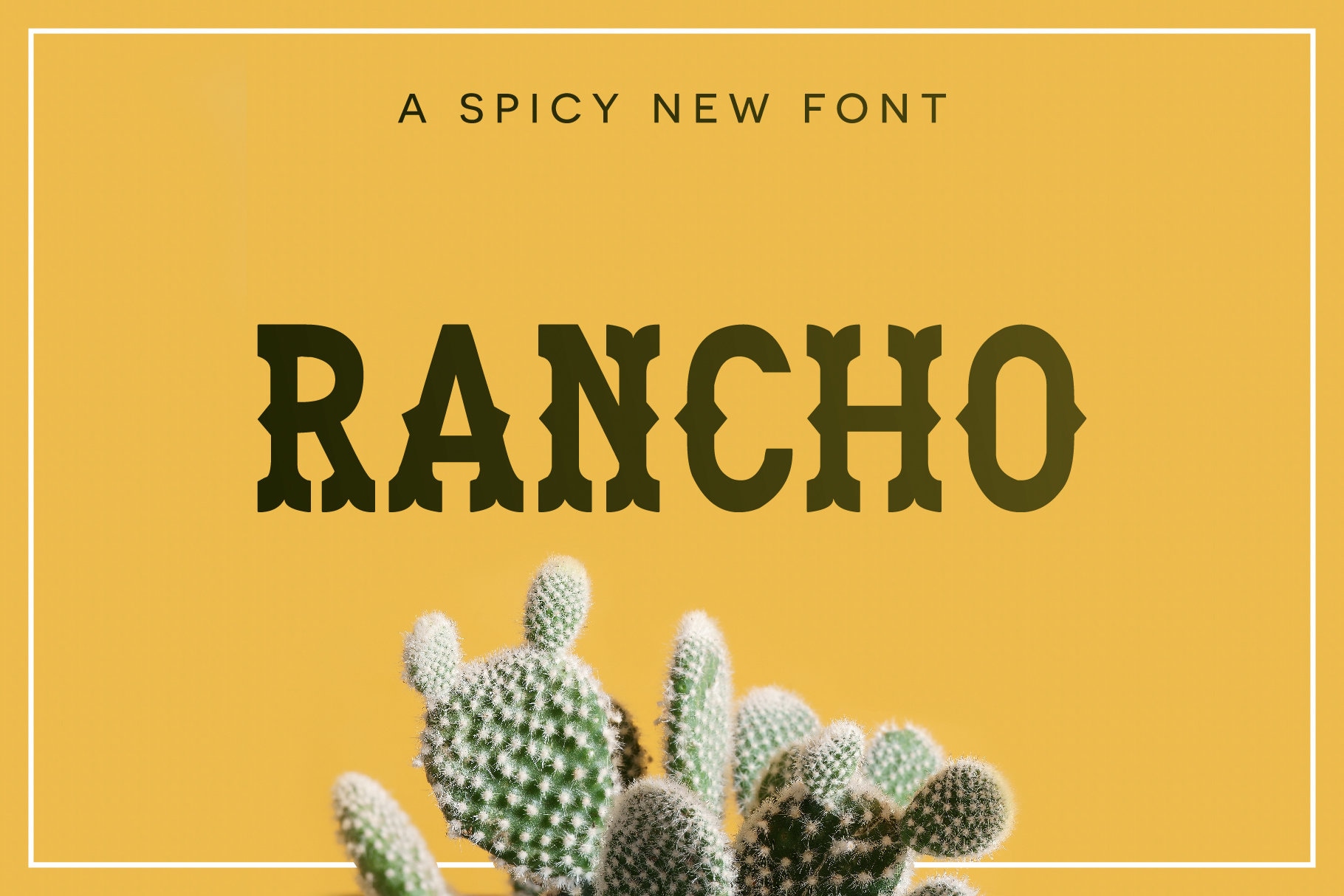 Police Rancho Police De Marque Police Cricut Police Canva.
