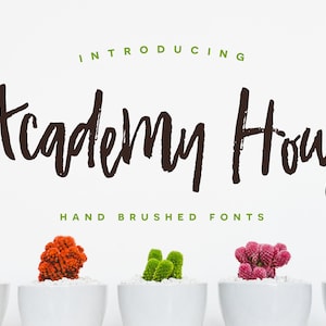 Police Academy House - Police de marque - Police Cricut - Police Canva - Police manuscrite - Procreate Font | Téléchargement numérique instantané