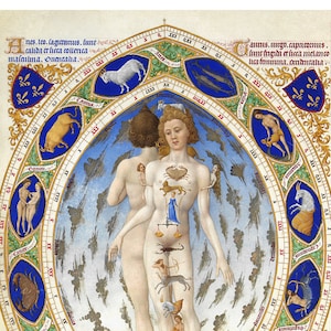 Carta astrológica del hombre zodiacal - Impresión astrológica del arte del zodiaco - Homo Signorum Man of Signs - Libro de horas - Mapas y grabados antiguos - Idea de regalo