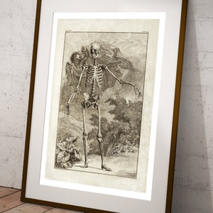 Vintage Skeleton Anatomy Print, Anatomical Science Poster, Macabre Dark Academia Art