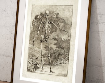 Vintage Skeleton Anatomy Print, Anatomical Science Poster, Macabre Dark Academia Art