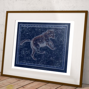 May include: A framed rectangular print featuring a dark blue celestial map with white star constellations and a central illustration of a bear. The artwork is enclosed in a thin brown frame with a white mat border, displaying astronomical markings.