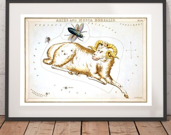 Aries Zodiac Art Print - Astronomy Astrology Horoscope Art - Vintage Celestial Constellation Chart - Old Maps and Prints