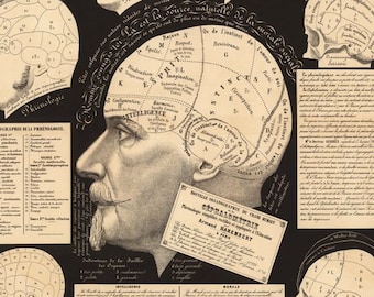 Phrenology Head Vintage Art Print - Organographie Du Crane Humain - Cephalometry Psychology Chart - French Anatomy Medical Ephemera