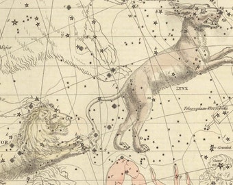 Vintage Lynx and Leo Minor Constellation Celestial Map - Astronomy Gift - Astrology Art Prints - Zodiac Sign - Restoration Style Wall Decor