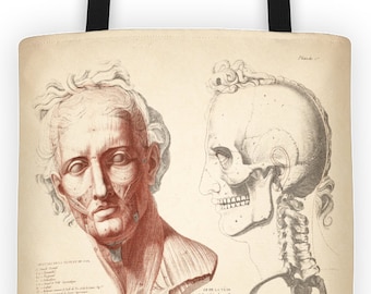 Art Print Tote Bag - Anatomy of the Head and Skull Antique Print - Large Market Tote - Reusable Grocery Bag - Vintage Carry All Beach Bag