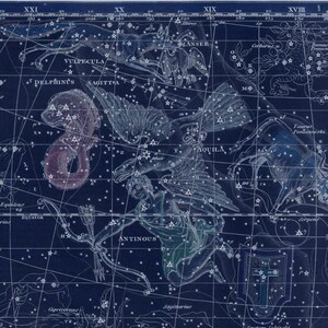 Vintage Delphinus Sagitta Aquila Antinous Constellation Celestial Map - Astronomie Geschenk - Astrologie Dekor - Stern Poster - Restauration Dekor